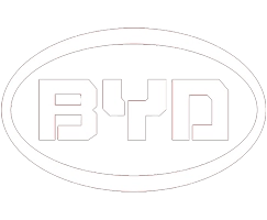 BYD